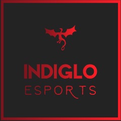 INDIGLO Esports
