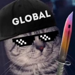 ParadoxZ