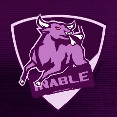 TEAM INABLE