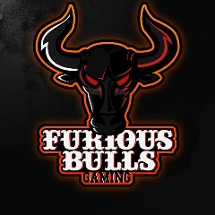 Furious Bulls