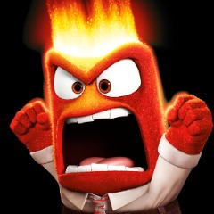 The Fury