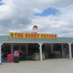 The Berry Patch