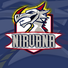 NirvanaEsports