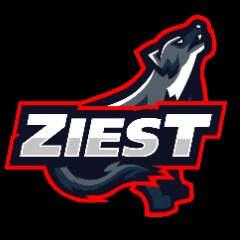 Team ZiesT