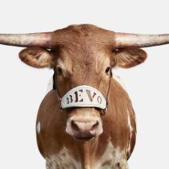 UT Austin