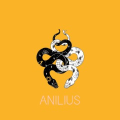 Team Anilius