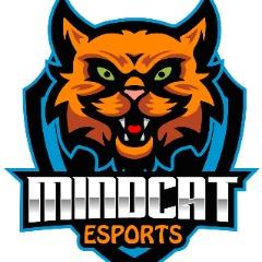 MINDCAT Esports