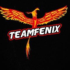 Team FeniX