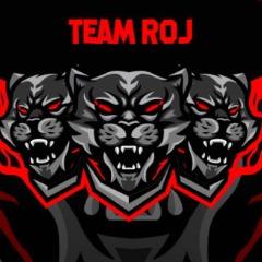 Team Roj