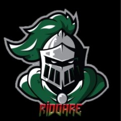 Team Riddare