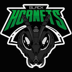 BlackHornets - pubg Team - FACEIT.com