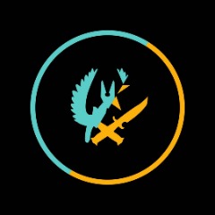 TeamFlashGaming