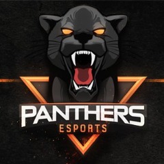 Panthers