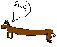 slak pony