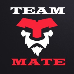 TeamMate1