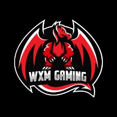 WxM Gaming