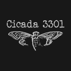 -cicada-
