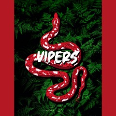 VE-Vipers