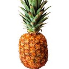 BestDjecaciEU