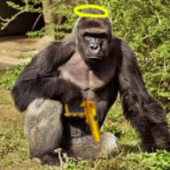 Harambes GDs