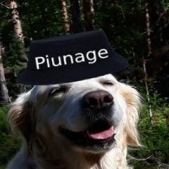 Mayra Dog