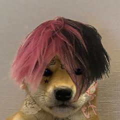 Team Doggo