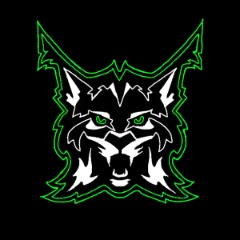 FLynxes Academy