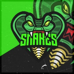 SnakeS Esports