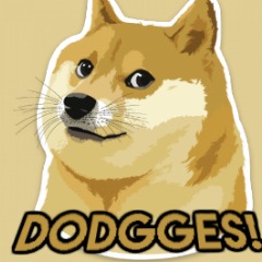 dodgges