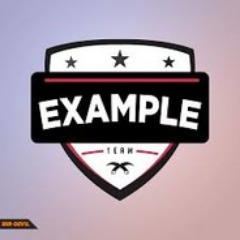 Example Team