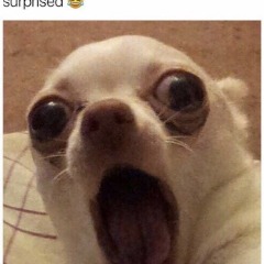 D0gos