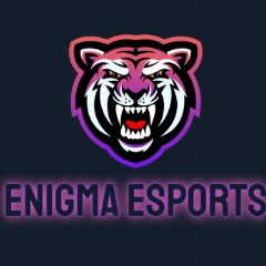 Enigma Esports
