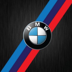BMW TEAM