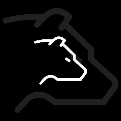 Kontio Esports