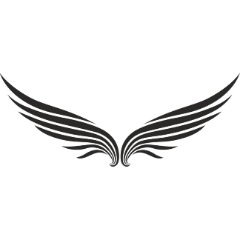 wingspan