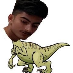 Rajans Raptors