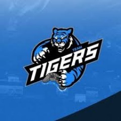 TeamTigersClub