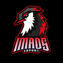 IMADS esports