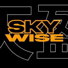 SKYWISE