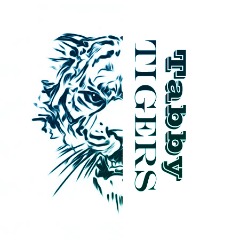 Tabby Tigers