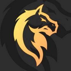 HFSGG Esport