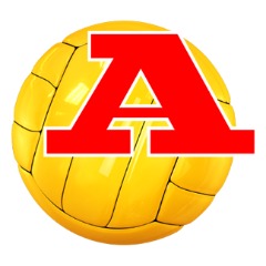 A BOLA DA EDJD