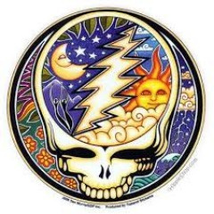 Steal Your Face