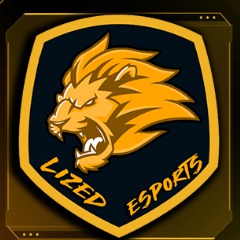 Lized Esports
