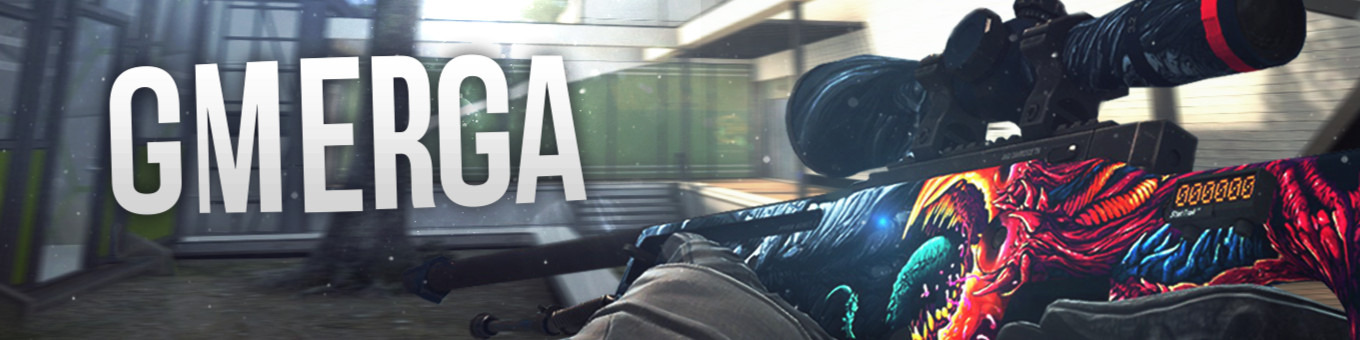 Faceit banner for @erga