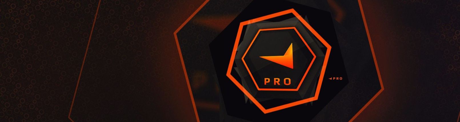Faceit banner for @sergent