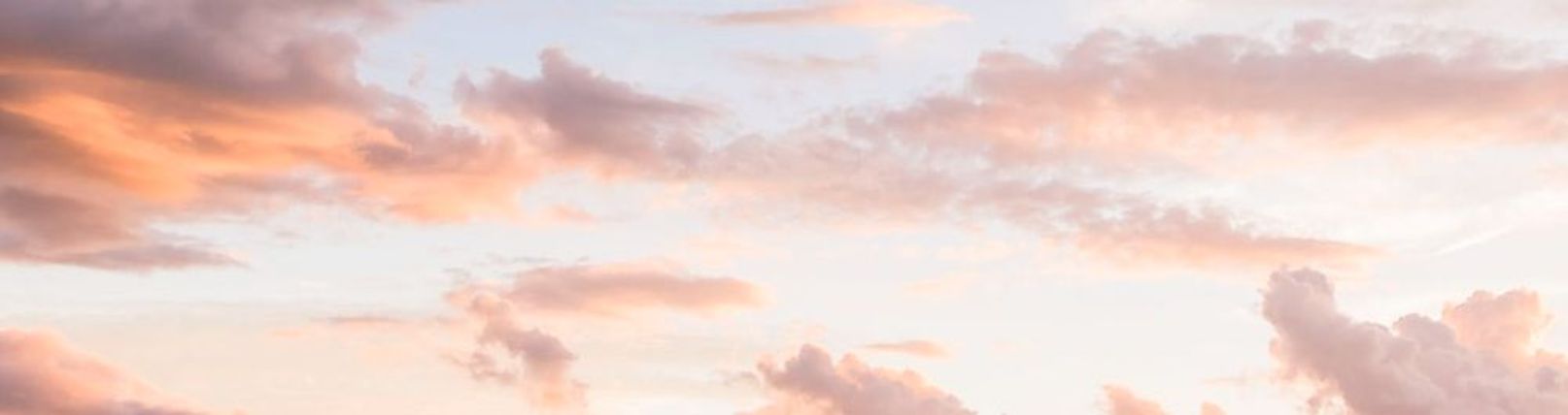 Faceit banner for @brat