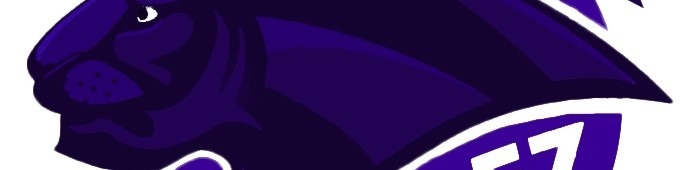 Faceit banner for @tossing