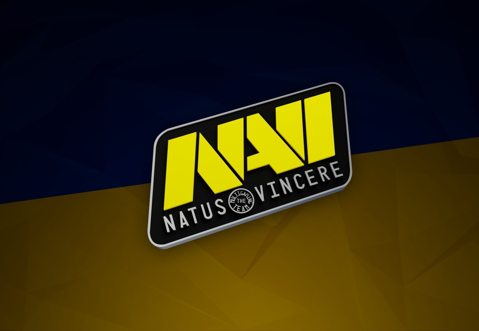 Faceit banner for @palacio