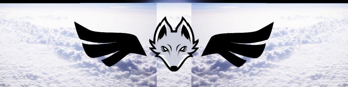 Faceit banner for @unforgiving